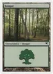 Forest #B10