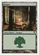 Forest #B12