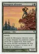Sylvan Messenger #B14