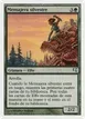 Sylvan Messenger #B15