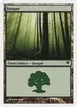Forest #B20