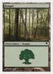 Forest #B21
