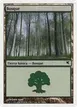 Forest #B22