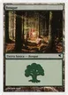 Forest #B23