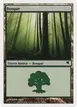 Forest #B24