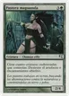 Nullmage Shepherd #B2