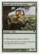 Seeker of Skybreak #B30