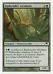 Viridian Scout #B31