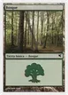 Forest #B33