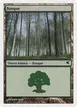 Forest #B34