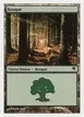 Forest #B35