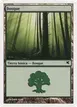 Forest #B36