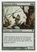 Elvish Warrior #B42
