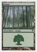 Forest #B46