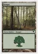Forest #B56