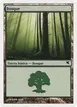 Forest #B59