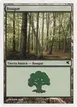 Forest #B60