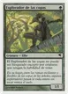 Treetop Scout #B6