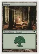 Forest #B8