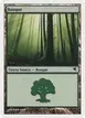 Forest #B9
