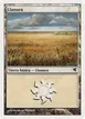 Plains #C46