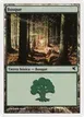 Forest #D11