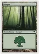 Forest #D12