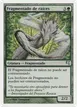 Root Sliver #D14