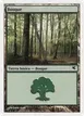 Forest #D23