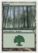 Forest #D24