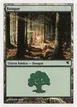 Forest #D48