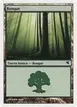 Forest #D59