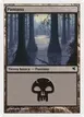 Swamp #E23