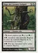 Golgari Guildmage #F39