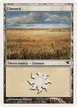 Plains #G34