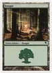 Forest #I33