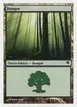 Forest #I34