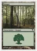 Forest #I35