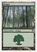 Forest #I36