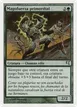 Primal Forcemage #I39