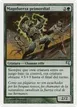 Primal Forcemage #I40