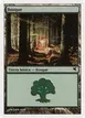 Forest #I46