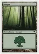 Forest #I47