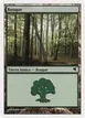 Forest #I48