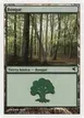 Forest #I58