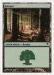 Forest #I59