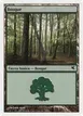 Forest #J10
