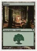 Forest #J21