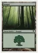 Forest #J22