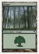 Forest #J34